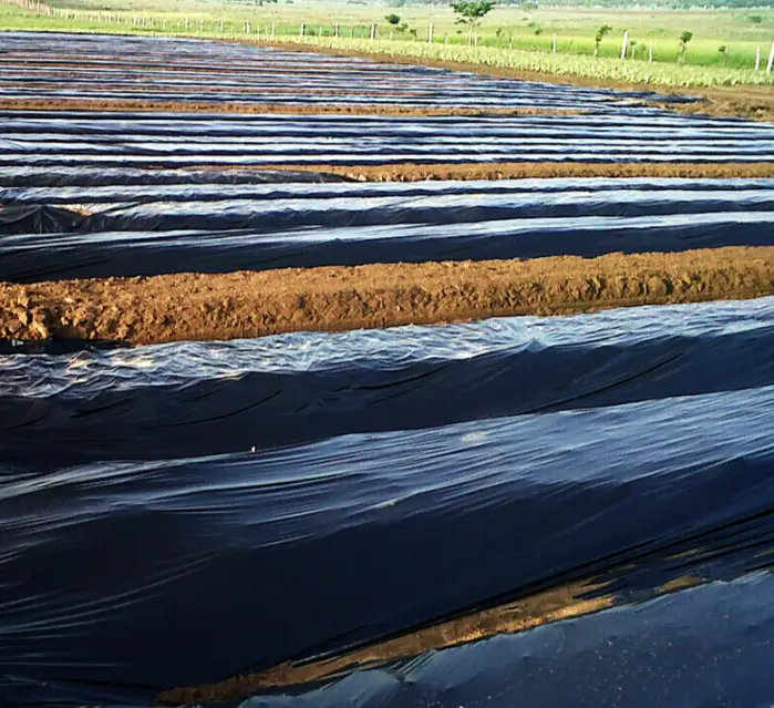 Agriculture